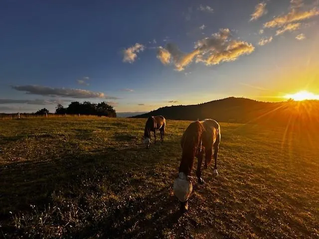 Refuge D`estivareilles * Saint-Didier-sur-Doulon
